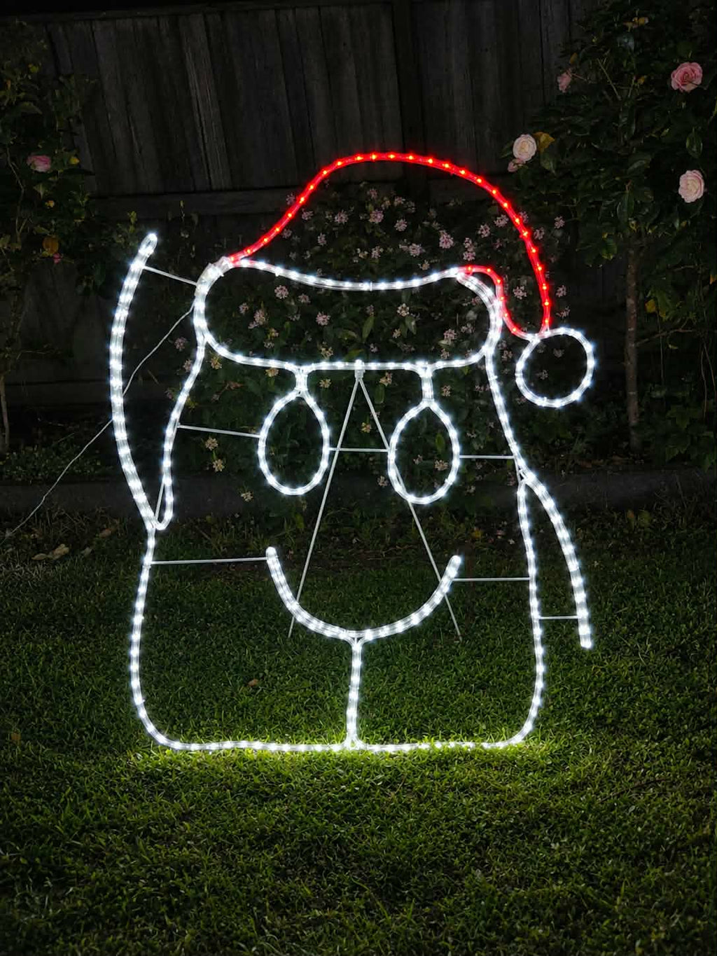 Hob of Hobart - Dougal Christmas light motif against a outdoor background, Neon Noel, Hobart, Tasmania, Australia, Hobartgraffiti