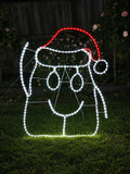 Hob of Hobart - Dougal Christmas light motif against a outdoor background, Neon Noel, Hobart, Tasmania, Australia, Hobartgraffiti