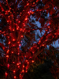 Neon Noel-Red String Lights 20m-Lights On a tree outdoors-Hobart-Australia-Tasmania