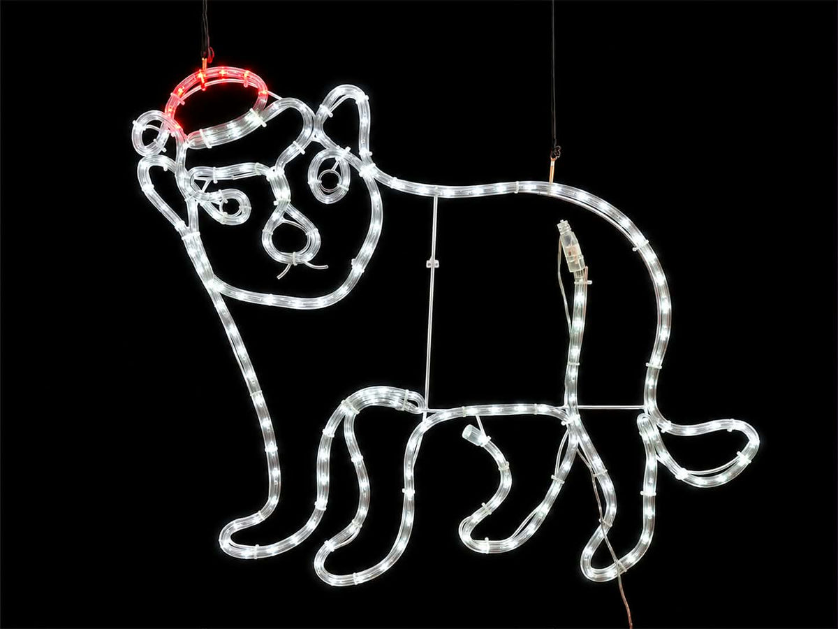 Tasmanian Devil Christmas Light motif against a black background, Neon Noel, Hobart, Tasmania, Australia