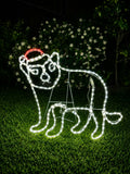 Tasmanian Devil Christmas Light motif outdoors, Neon Noel, Hobart, Tasmania, Australia