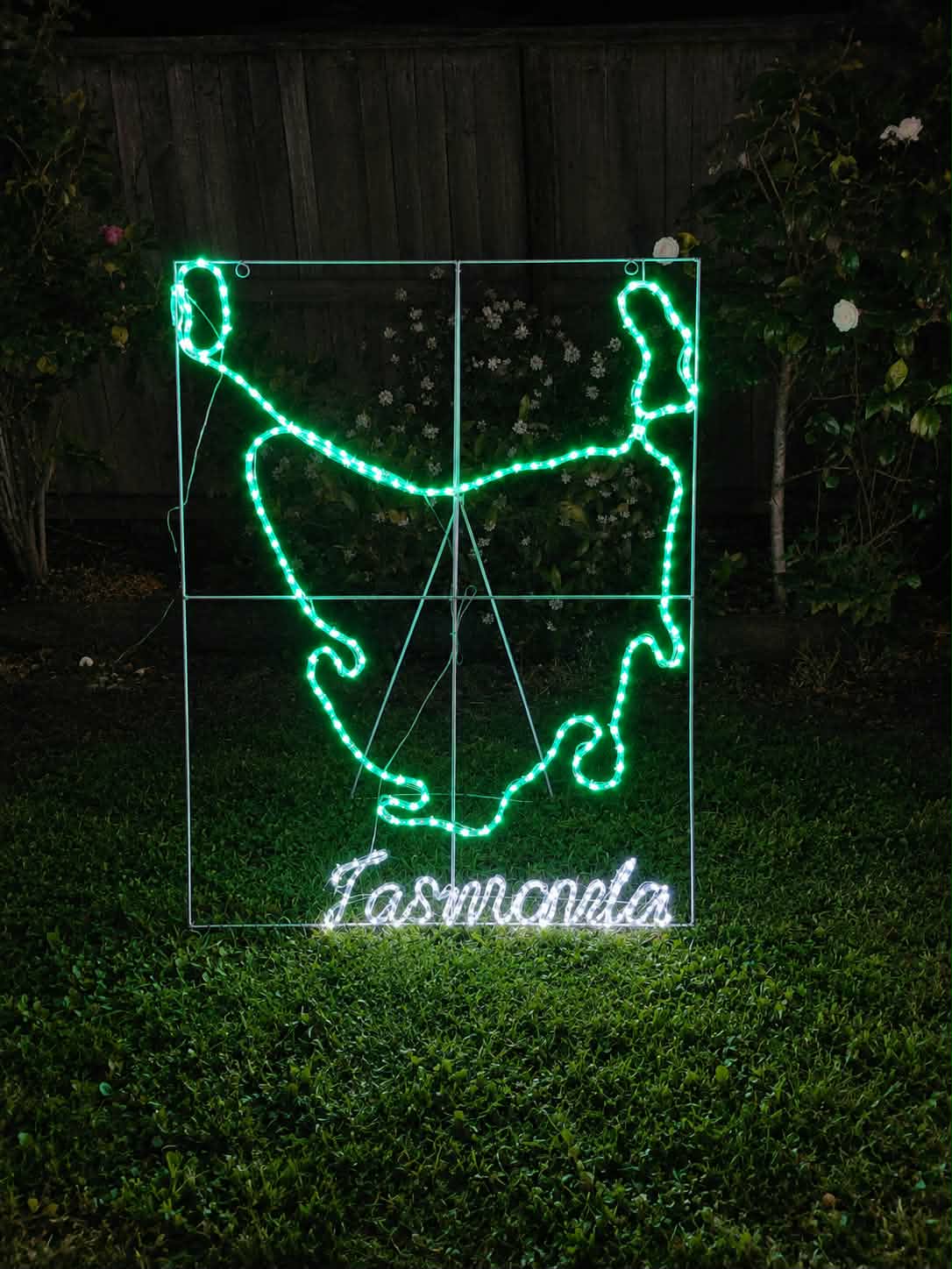 A Christmas motif  depicting the outline of Tasmania, with bright green illuminated path lines, a white grid background, and the word "Tasmania" in white script at the bottom, shown against a outdoor background.