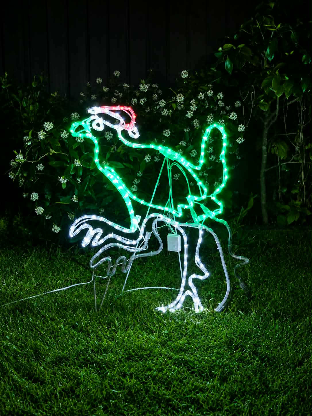Tasmanian Native Hen, Turbo Chook Christmas light motif outdoors, Neon Noel, Hobart, Tasmania, Australia