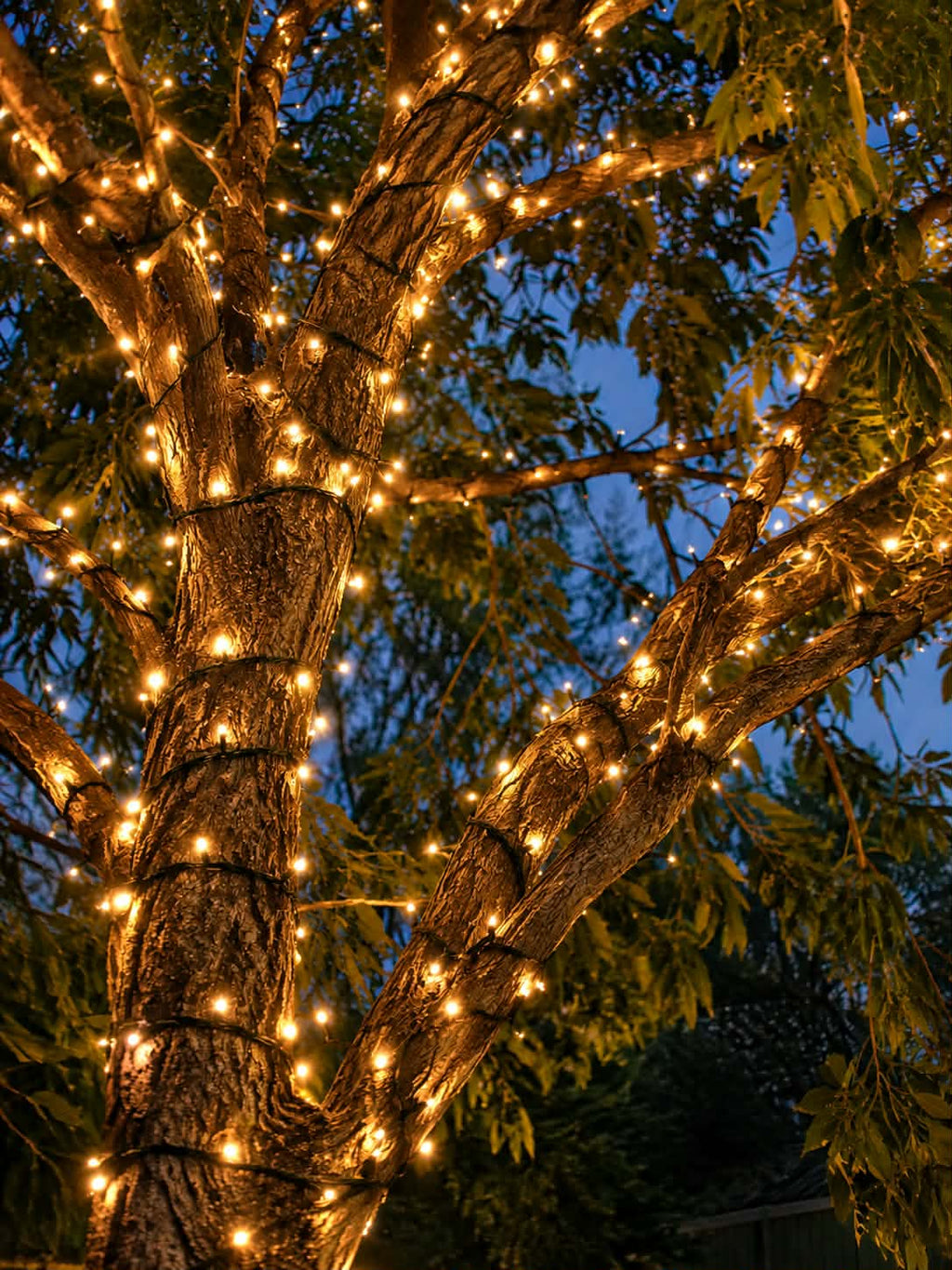 Neon Noel-Warm White String Lights 20m-Lights outdoors in a tree-Hobart-Australia-Tasmania